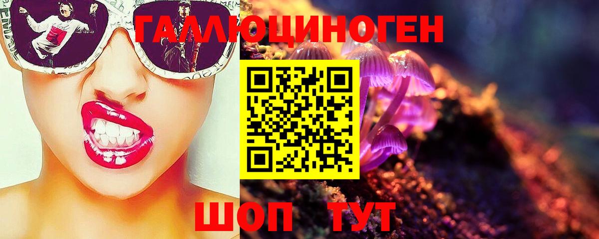 Павловский Посад  Галлюциногенные грибы GOLDEN TEACHER  Псилоцибиновые грибы мицелий  где купить наркоту  Вход с VPN 