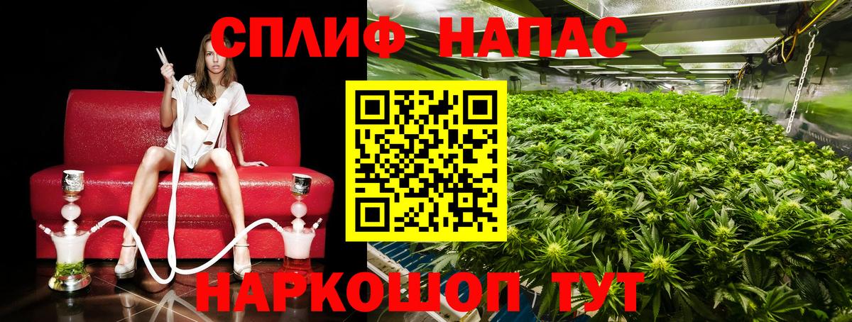 Бошки Шишки конопля Павловский Посад